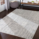 Surya Aisha AIS-2305 Light Gray Area Rug by LIVABLISS