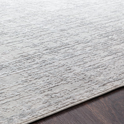 Surya Aisha AIS-2305 Light Gray Area Rug by LIVABLISS