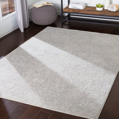 Surya Aisha AIS-2306 Light Gray Area Rug by LIVABLISS