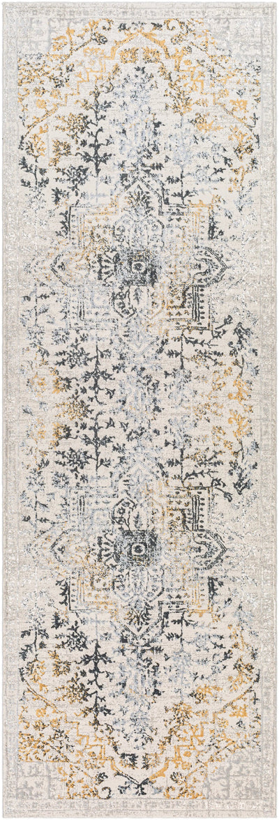 Aisha AIS-2308 Charcoal Area Rug by LIVABLISS