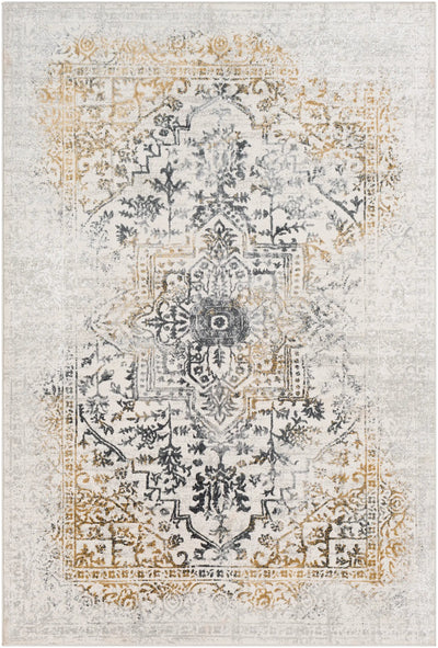 Aisha AIS-2308 Charcoal Area Rug by LIVABLISS