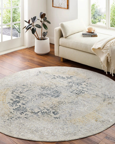 Aisha AIS-2308 Charcoal Area Rug by LIVABLISS
