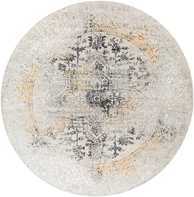 Aisha AIS-2308 Charcoal Area Rug by LIVABLISS