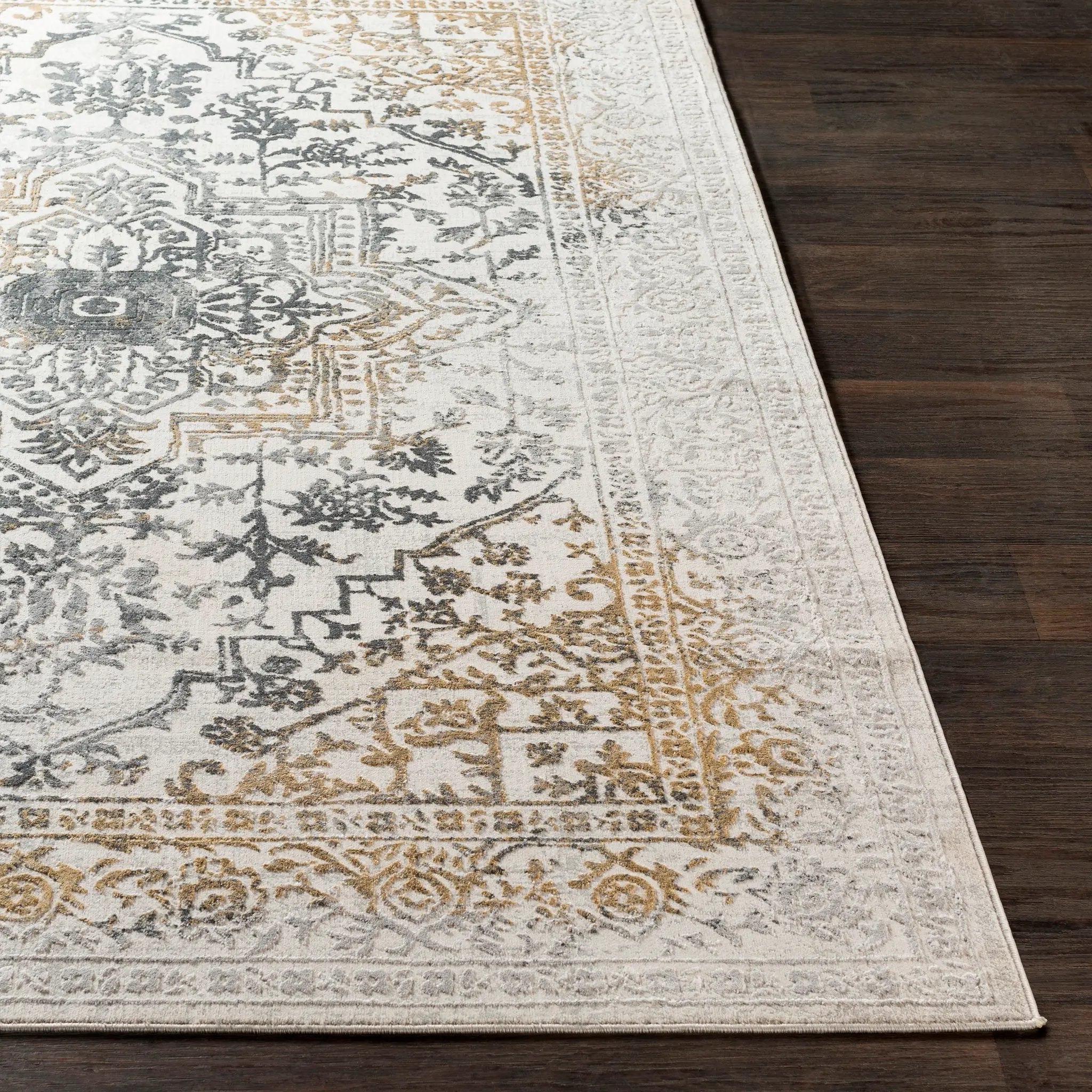 Aisha AIS-2308 Charcoal Area Rug by LIVABLISS