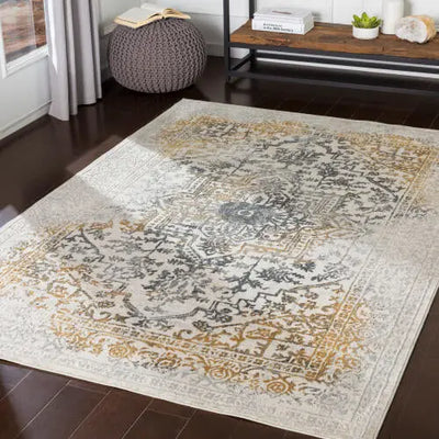 Aisha AIS-2308 Charcoal Area Rug by LIVABLISS