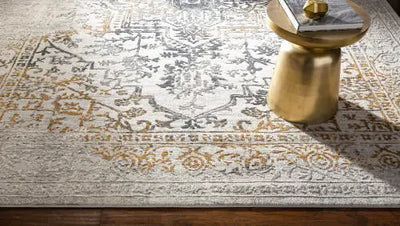 Aisha AIS-2308 Charcoal Area Rug by LIVABLISS