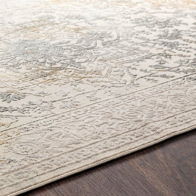 Aisha AIS-2308 Charcoal Area Rug by LIVABLISS