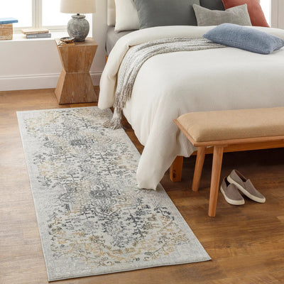 Aisha AIS-2308 Charcoal Area Rug by LIVABLISS