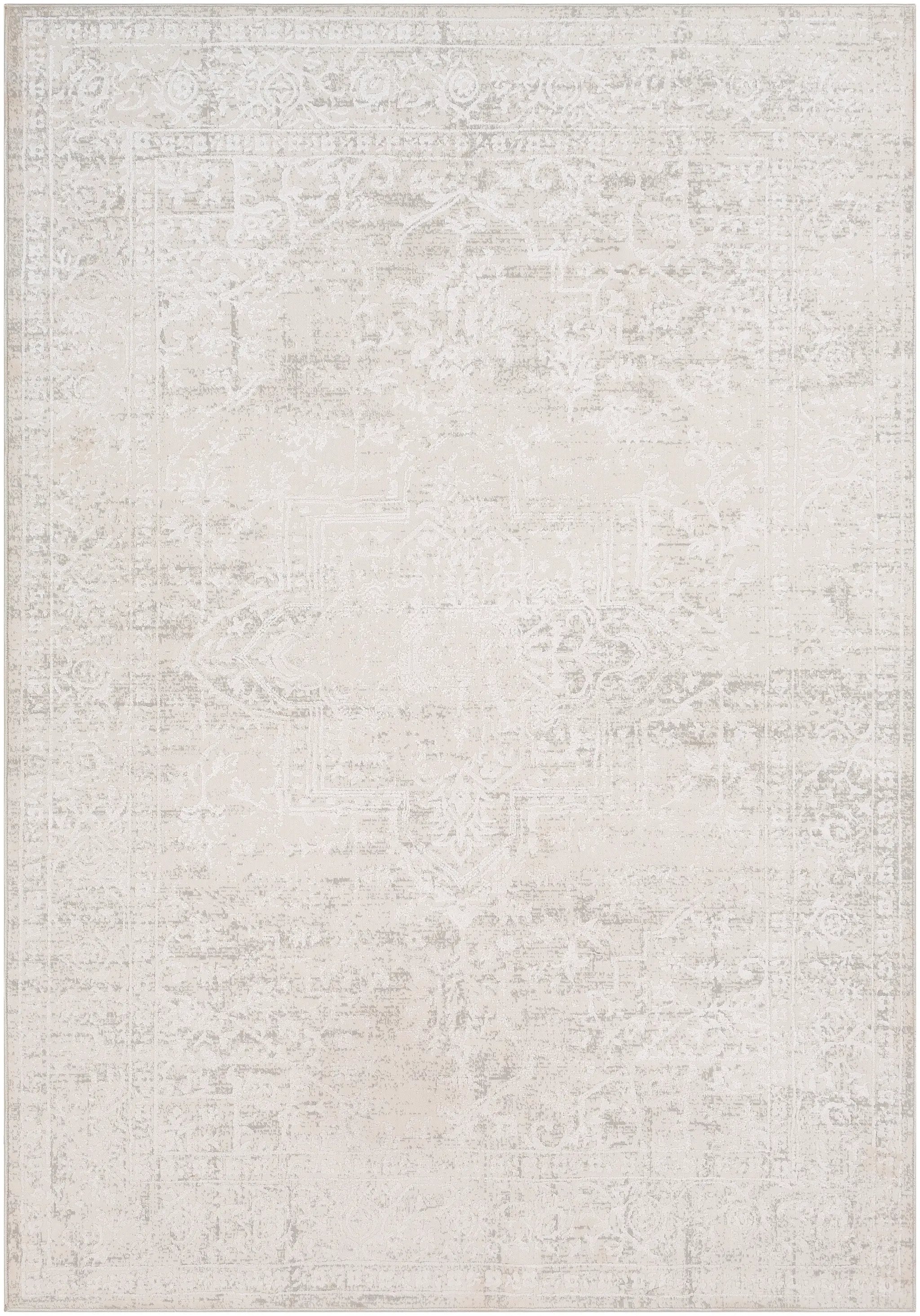 Aisha AIS-2309 Gray Area Rug by LIVABLISS