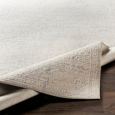 Aisha AIS-2309 Gray Area Rug by LIVABLISS