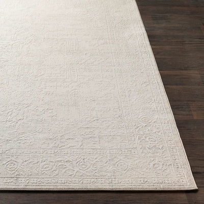 Aisha AIS-2309 Gray Area Rug by LIVABLISS