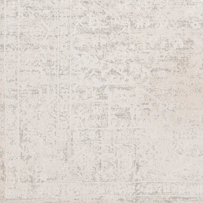 Aisha AIS-2309 Gray Area Rug by LIVABLISS