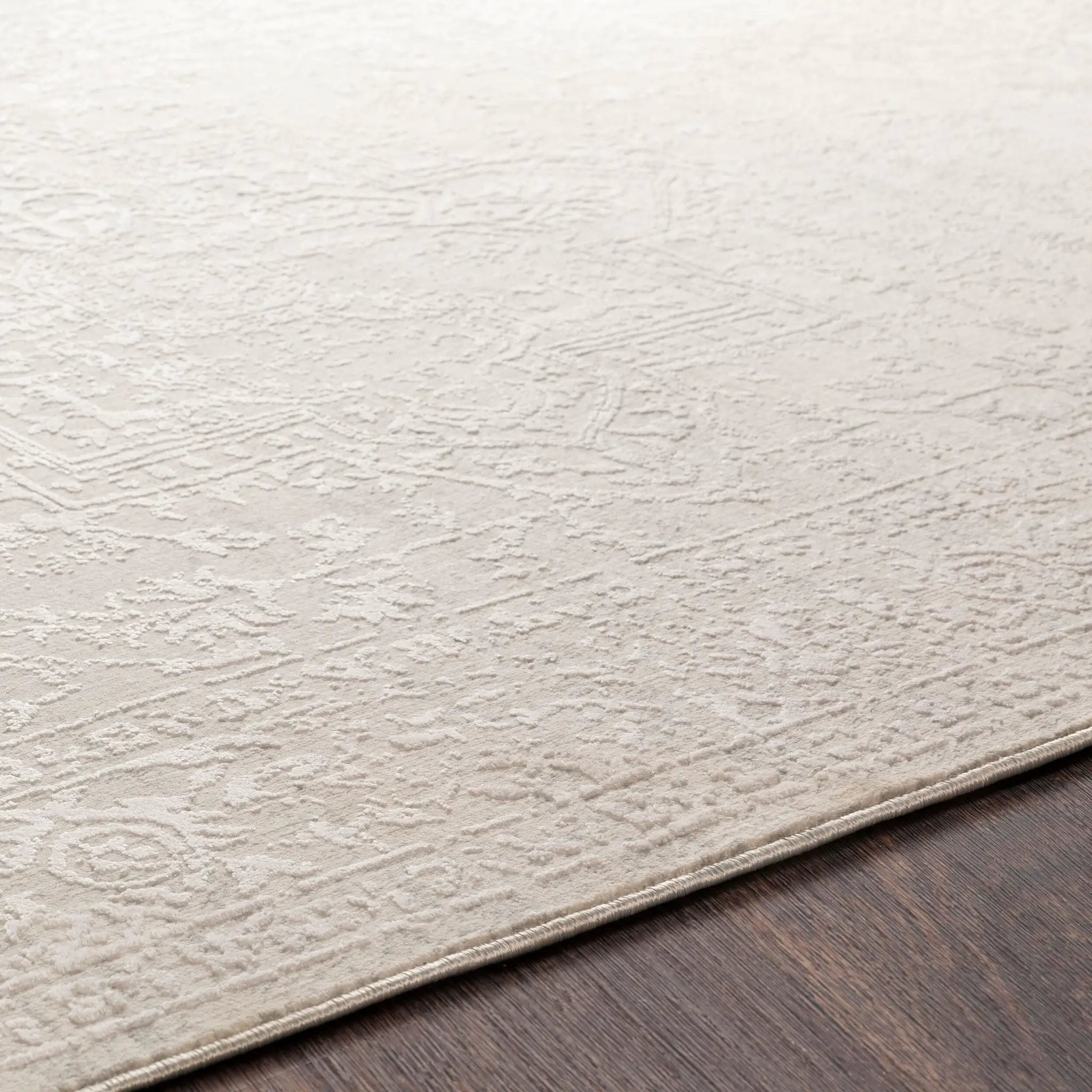 Aisha AIS-2309 Gray Area Rug by LIVABLISS