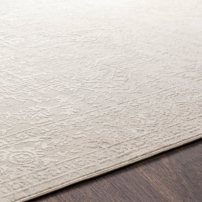 Aisha AIS-2309 Gray Area Rug by LIVABLISS