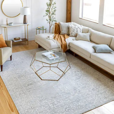 Aisha AIS-2309 Gray Area Rug by LIVABLISS