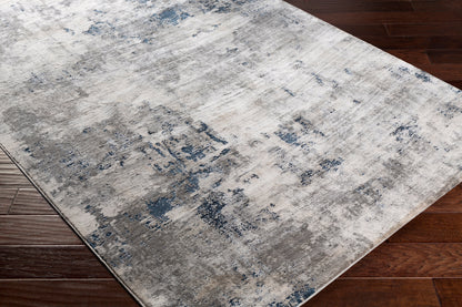 Surya Aisha AIS-2314 Charcoal Area Rug by LIVABLISS