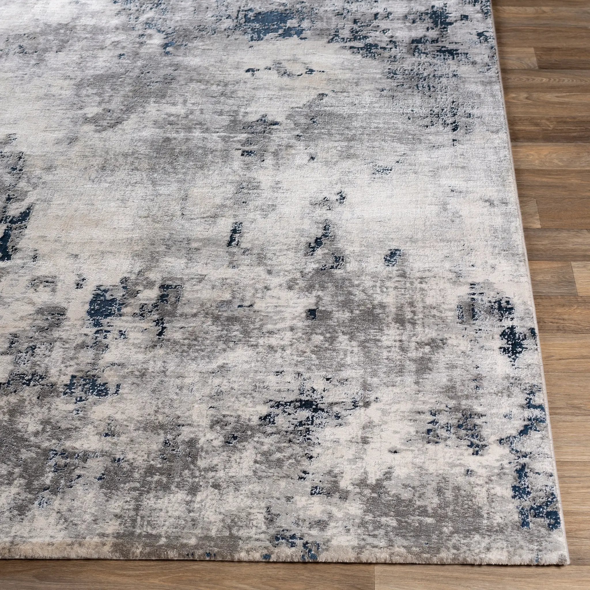 Aisha AIS-2314 Charcoal Area Rug by LIVABLISS