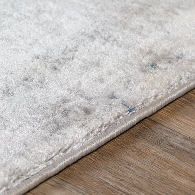 Surya Aisha AIS-2314 Charcoal Area Rug by LIVABLISS