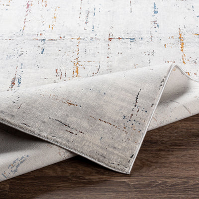 Surya Aisha AIS-2317 Gray Area Rug by LIVABLISS
