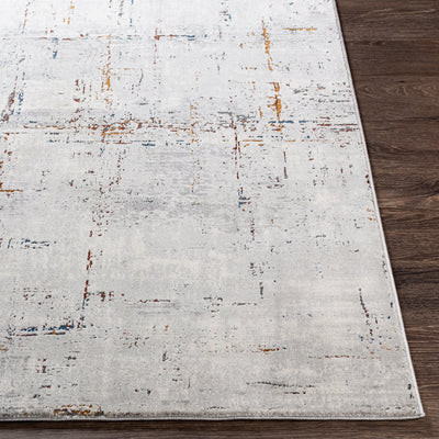 Surya Aisha AIS-2317 Gray Area Rug by LIVABLISS