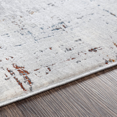 Surya Aisha AIS-2317 Gray Area Rug by LIVABLISS