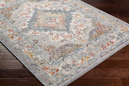 Ankara AKR-2300 Gray Area Rug