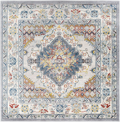 Ankara AKR-2300 Gray Area Rug
