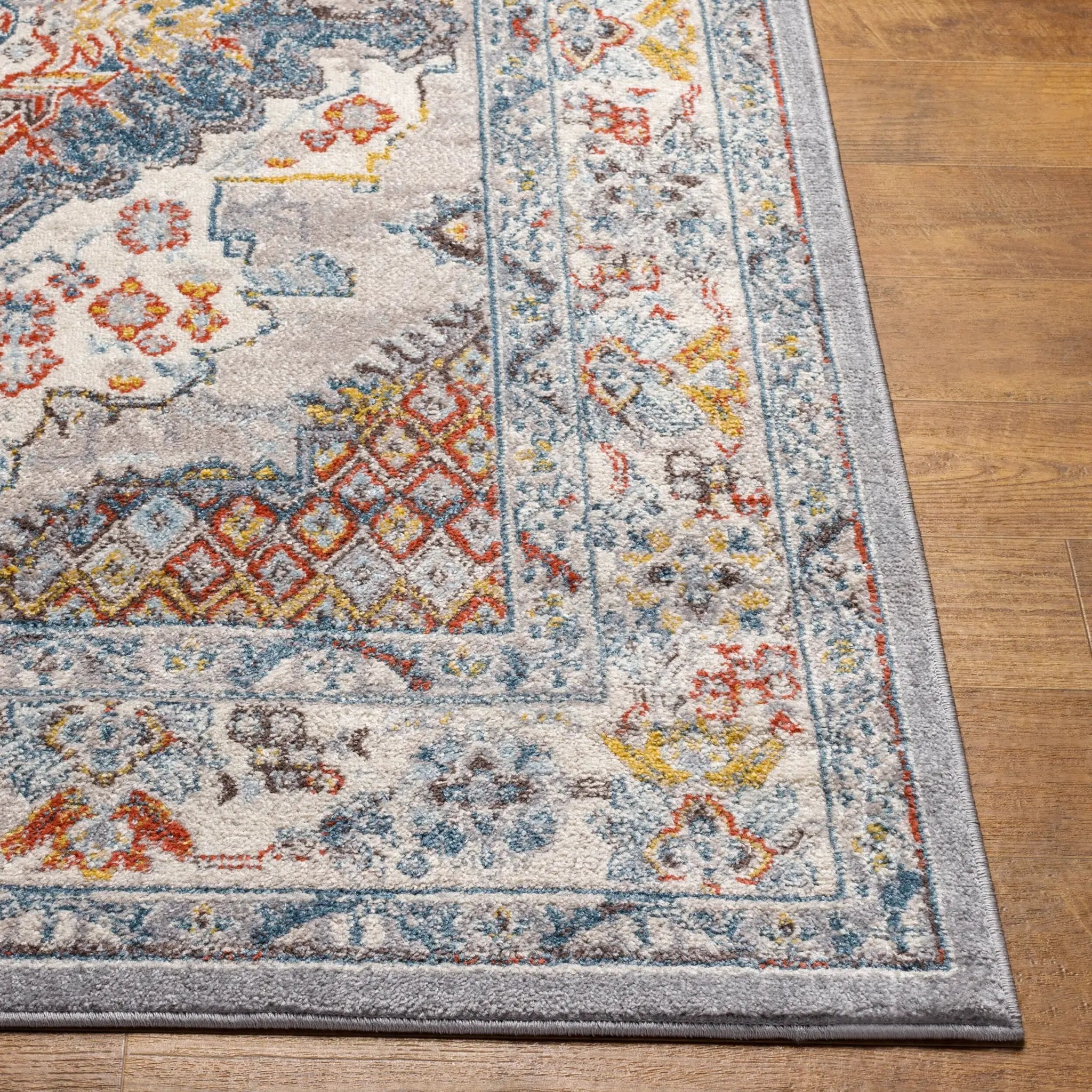 Ankara AKR-2300 Gray Area Rug by LIVABLISS