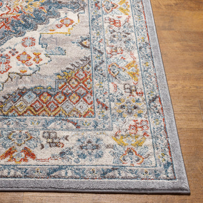 Ankara AKR-2300 Gray Area Rug