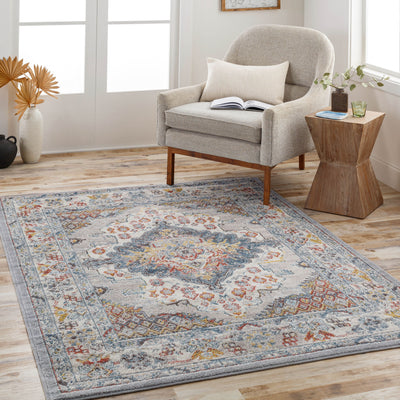 Ankara AKR-2300 Gray Area Rug
