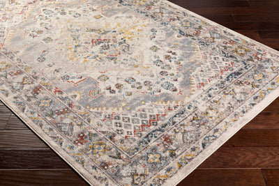 Ankara AKR-2301 Taupe Area Rug