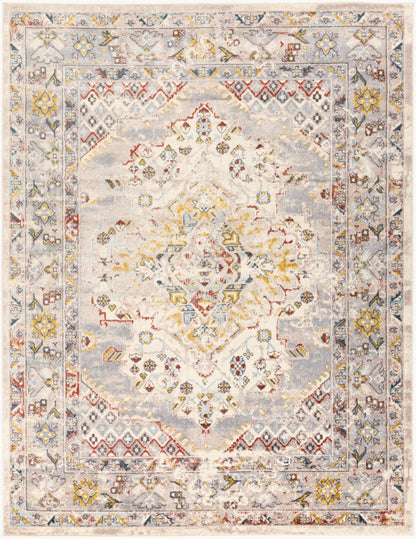 Ankara AKR-2301 Taupe Area Rug