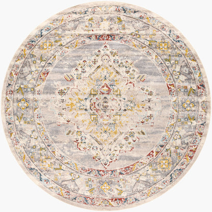 Ankara AKR-2301 Taupe Area Rug
