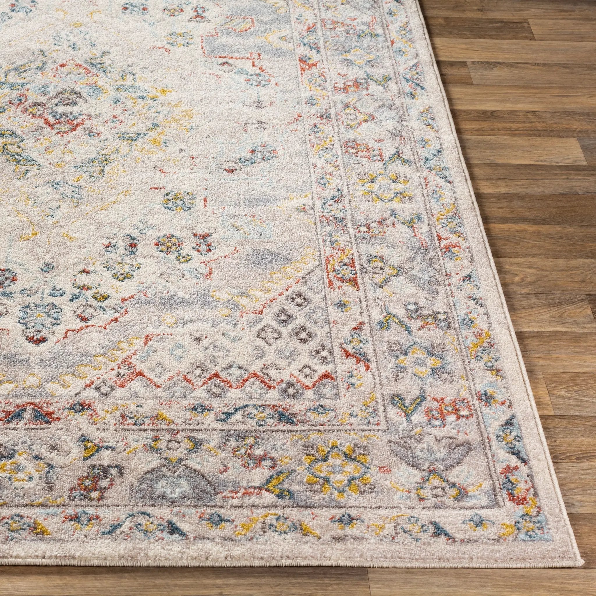 Ankara AKR-2301 Taupe Area Rug by LIVABLISS