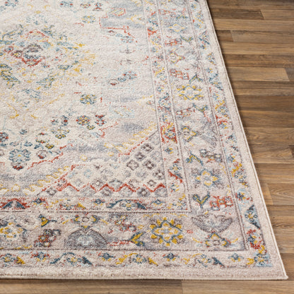 Ankara AKR-2301 Taupe Area Rug
