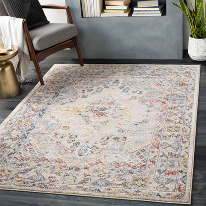 Ankara AKR-2301 Taupe Area Rug