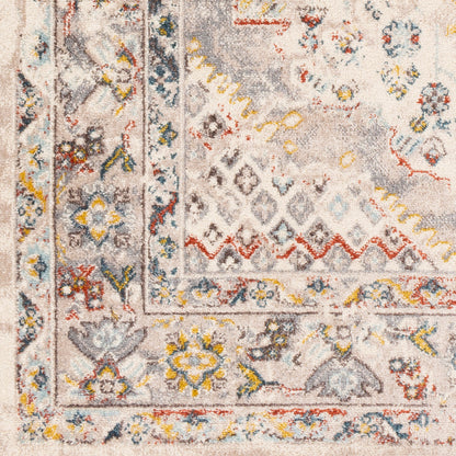 Ankara AKR-2301 Taupe Area Rug