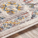 Ankara AKR-2301 Taupe Area Rug