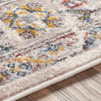Ankara AKR-2301 Taupe Area Rug