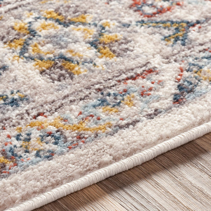 Ankara AKR-2301 Taupe Area Rug