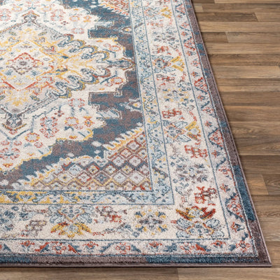 Ankara AKR-2303 Dark Brown Area Rug by LIVABLISS