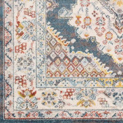 Ankara AKR-2303 Dark Brown Area Rug by LIVABLISS