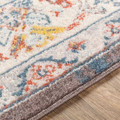 Ankara AKR-2303 Dark Brown Area Rug by LIVABLISS