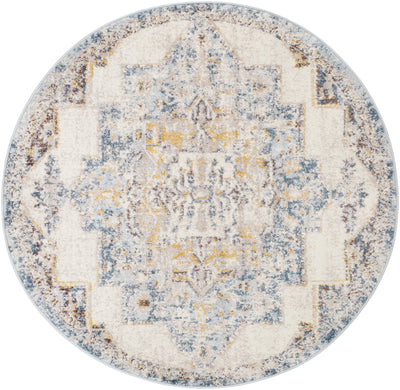 Surya Ankara AKR-2309 Ice Blue Area Rug by LIVABLISS