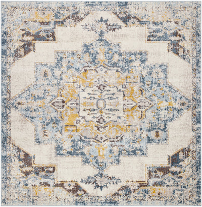Surya Ankara AKR-2309 Ice Blue Area Rug by LIVABLISS