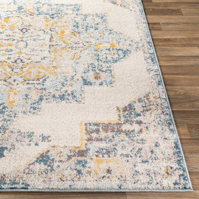 Surya Ankara AKR-2309 Ice Blue Area Rug by LIVABLISS