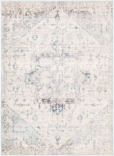 Ankara AKR-2310 Off-White Area Rug by LIVABLISS