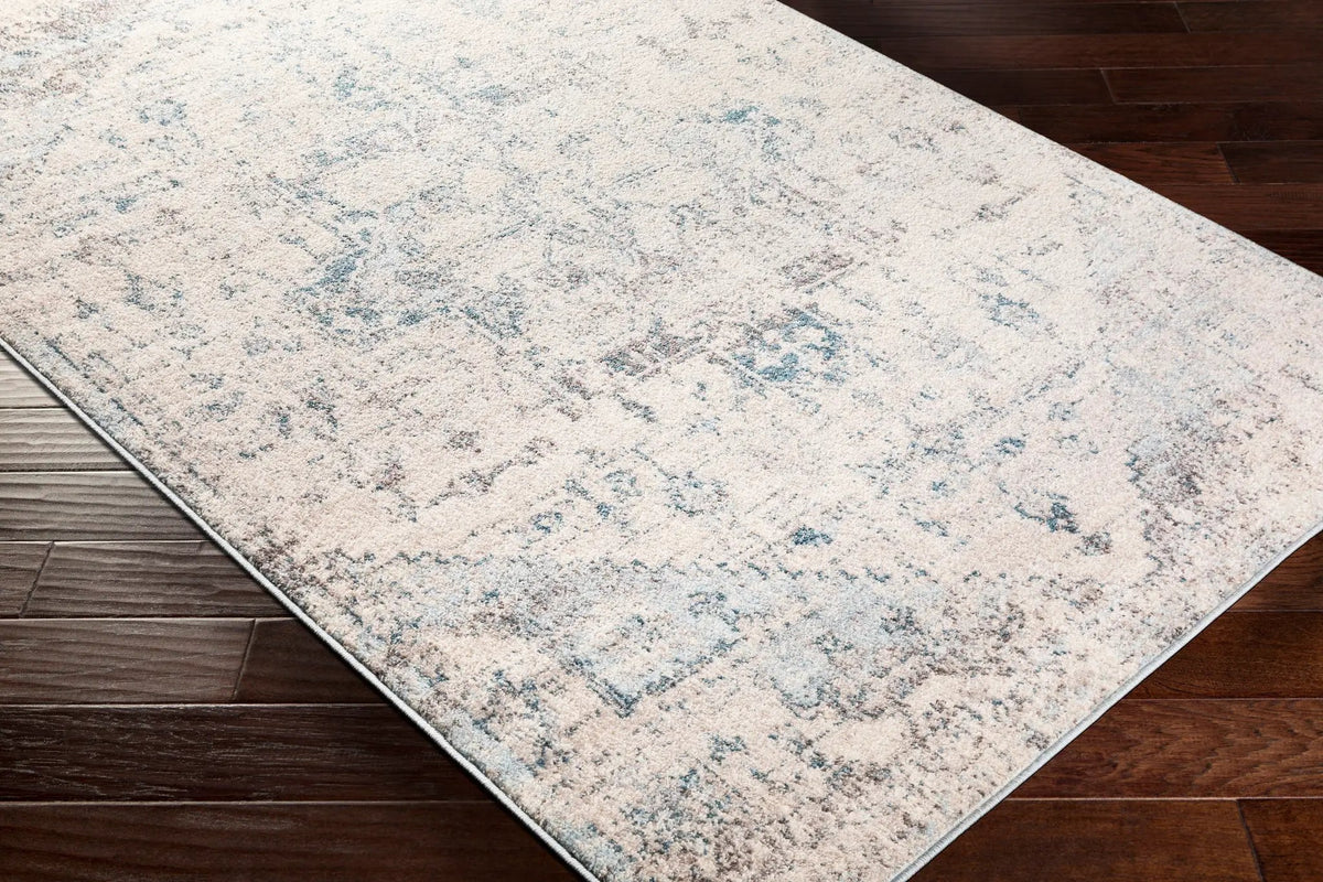 Ankara AKR-2310 Off-White Area Rug by LIVABLISS