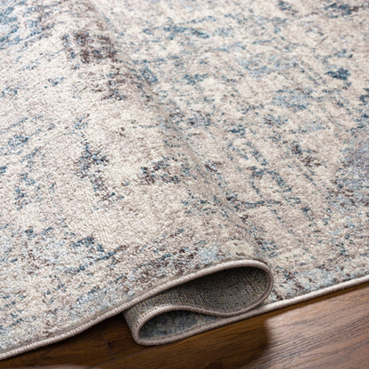 Surya Ankara AKR-2310 Off-White Area Rug by LIVABLISS