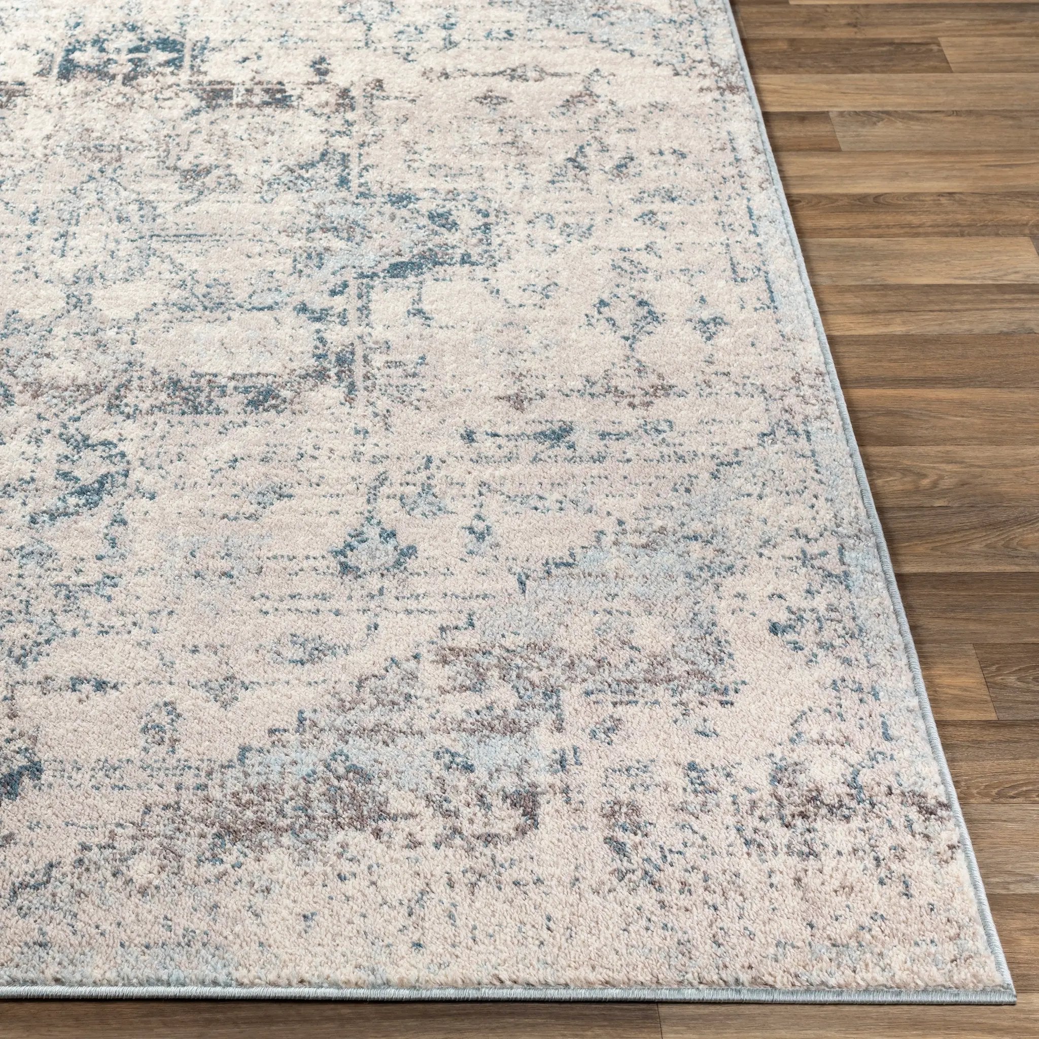 Ankara AKR-2310 Off-White Area Rug by LIVABLISS